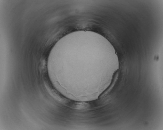 X0000114700087200911181327