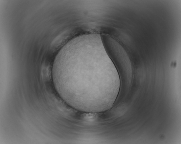 X0000114700088200911181327