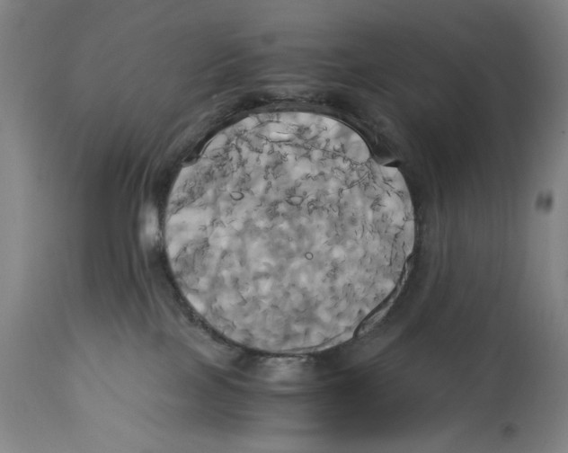 X0000114700089200911181327