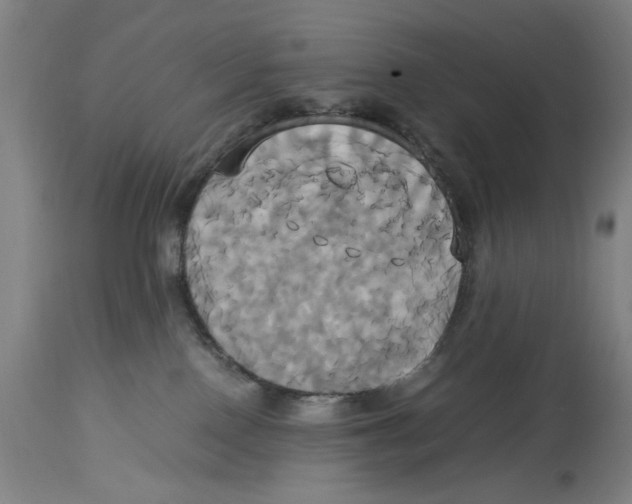 X0000114700090200911181327