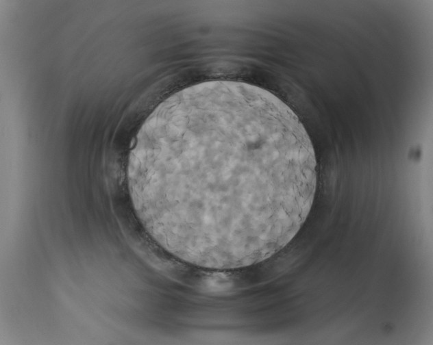 X0000114700091200911181327