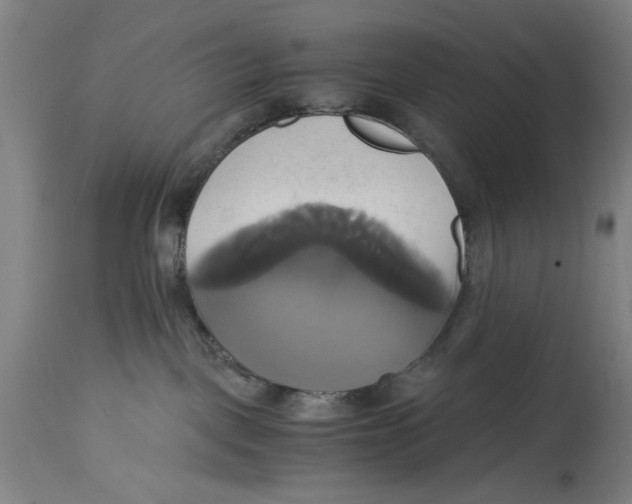 X0000114700093200911181327