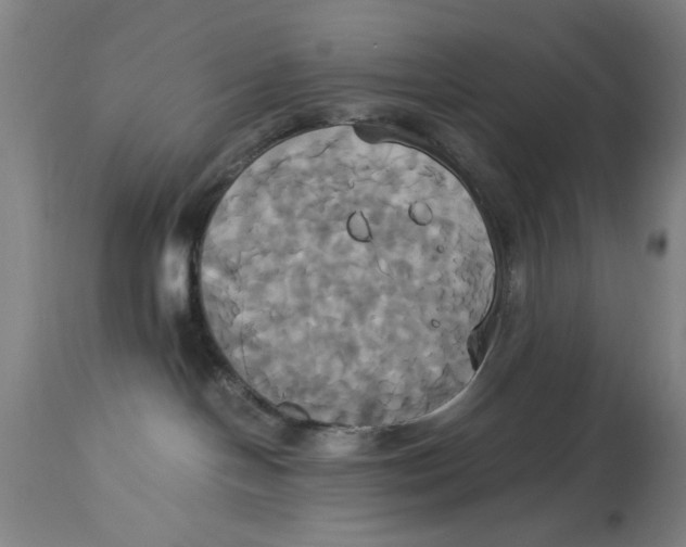 X0000114700094200911181327