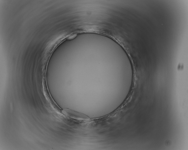 X0000114700097200911181327