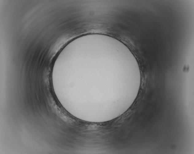 X0000114700098200911181327