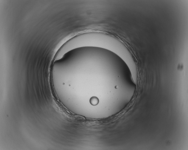 X0000114700100200911181327