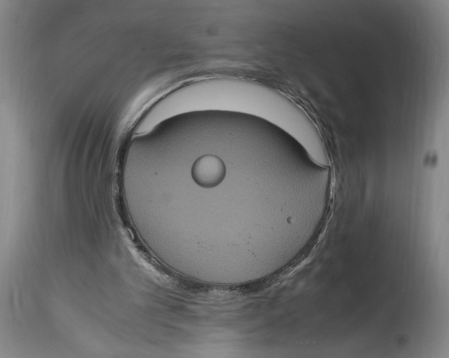 X0000114700101200911181327