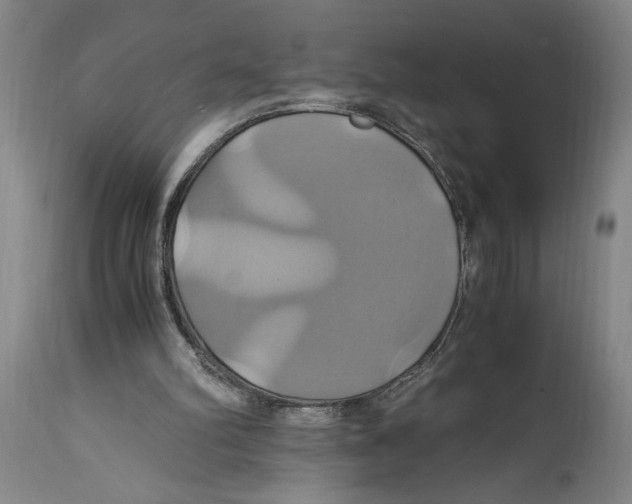 X0000114700102200911181327