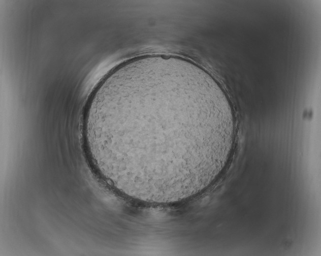 X0000114700103200911181327