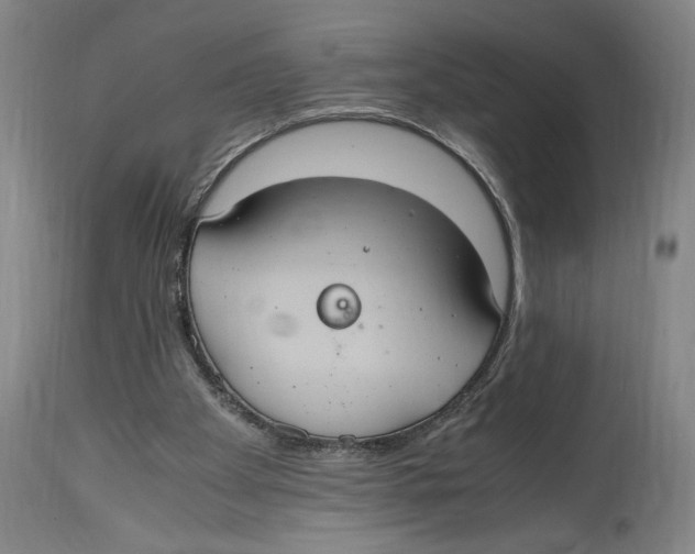 X0000114700105200911181327