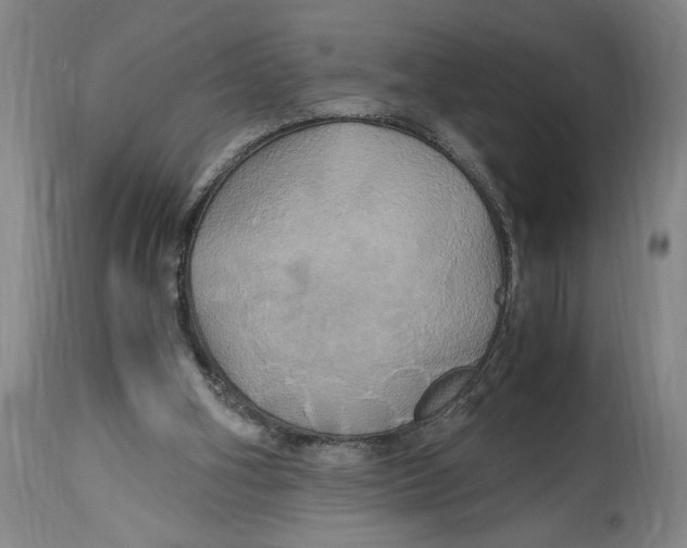 X0000114700106200911181327