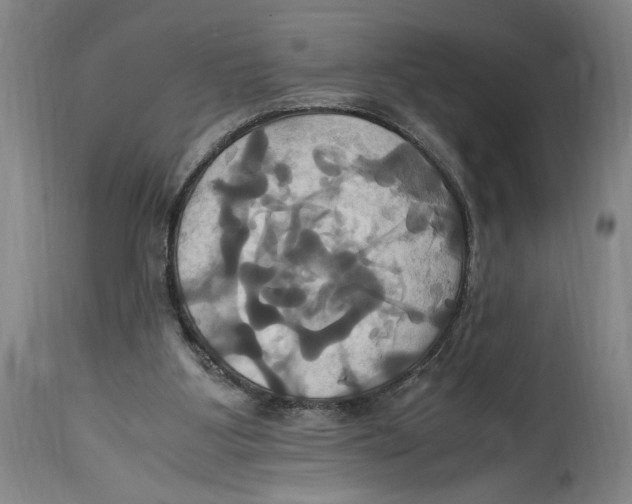 X0000114700107200911181327