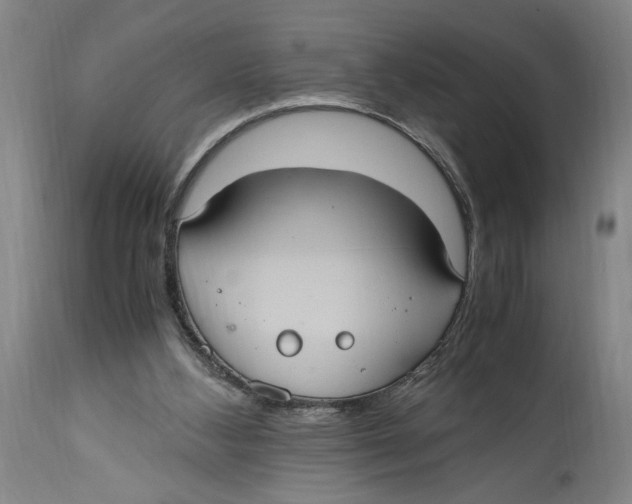 X0000114700108200911181327