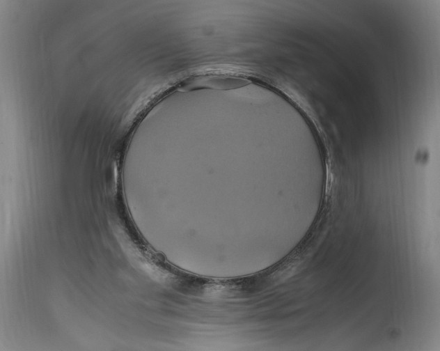 X0000114700109200911181327