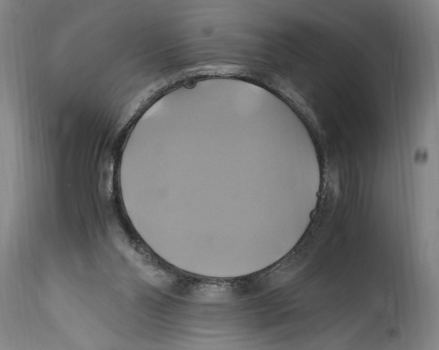 X0000114700110200911181327