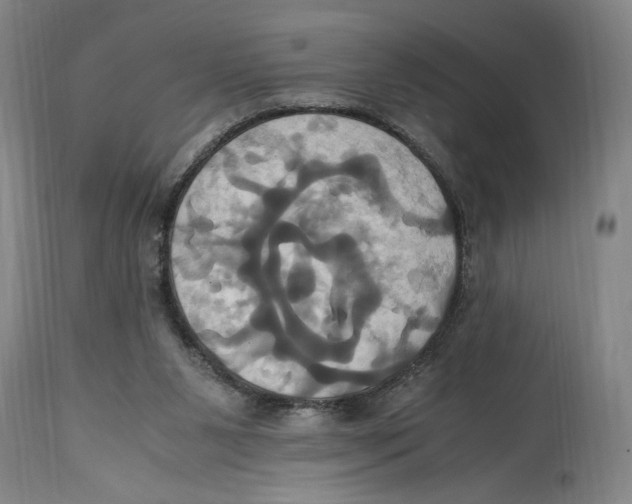 X0000114700111200911181327