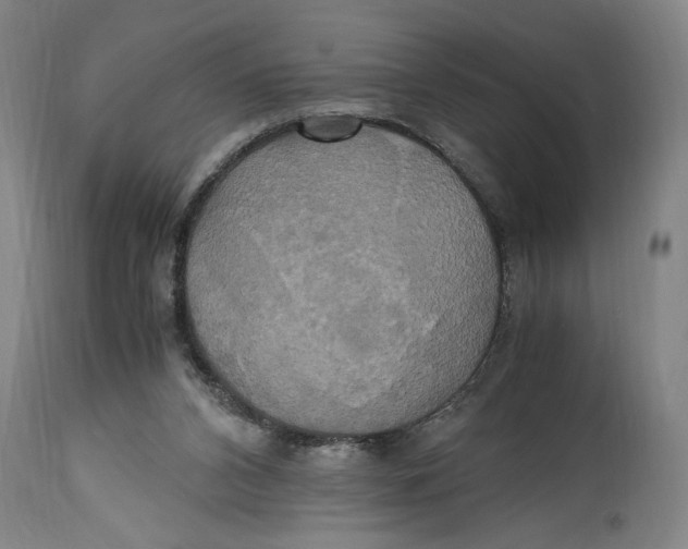 X0000114700112200911181327