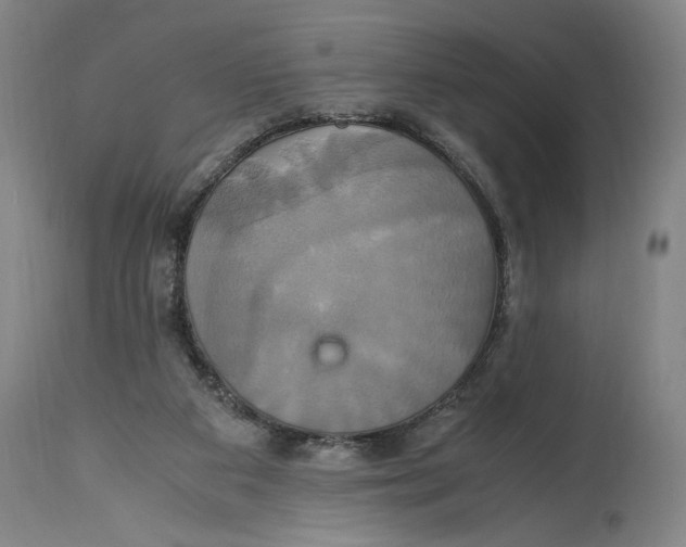 X0000114700113200911181327