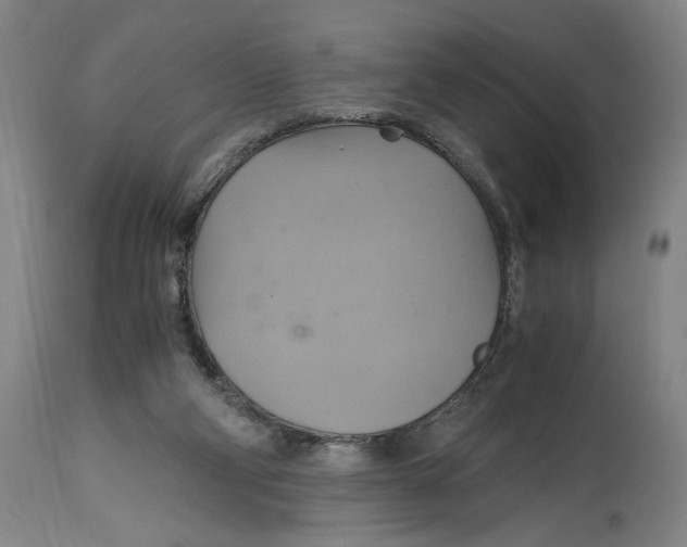 X0000114700114200911181327