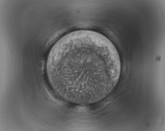 X0000114700115200911181327