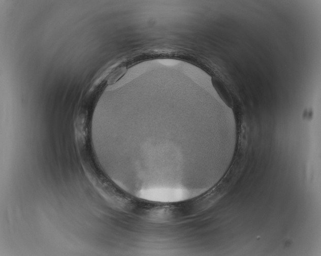 X0000114700116200911181327