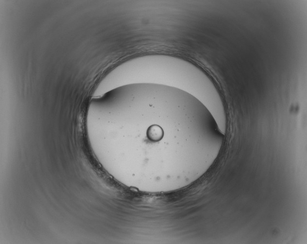 X0000114700117200911181326