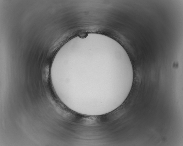 X0000114700118200911181326