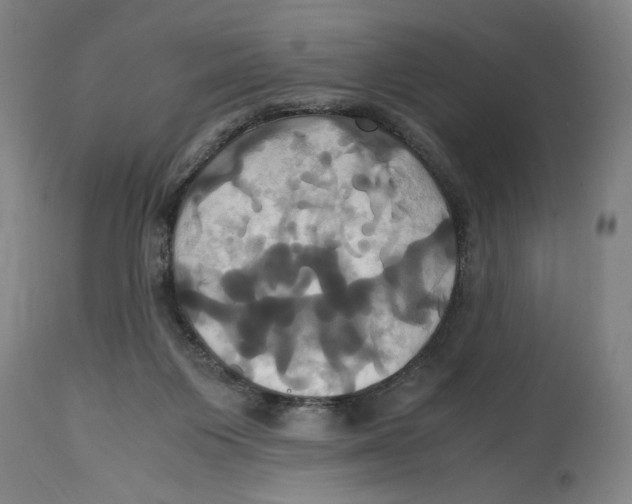 X0000114700119200911181326