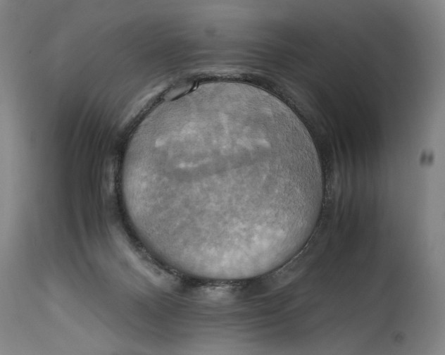 X0000114700120200911181326