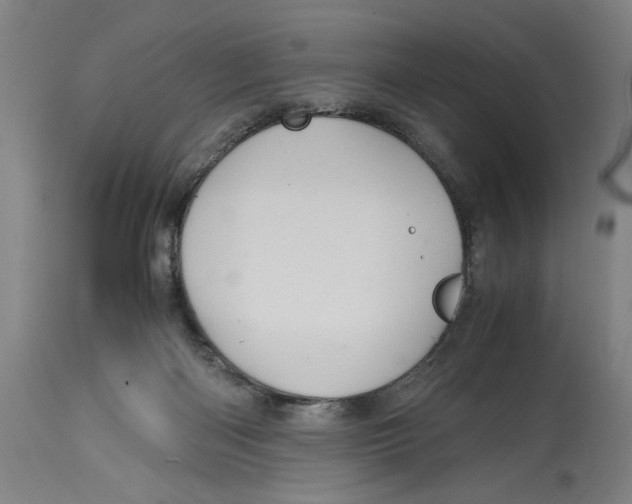 X0000114700122200911181326