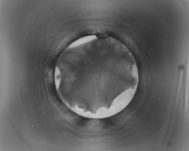 X0000114700123200911181326