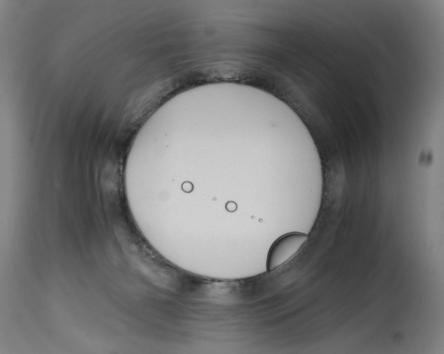 X0000114700126200911181326