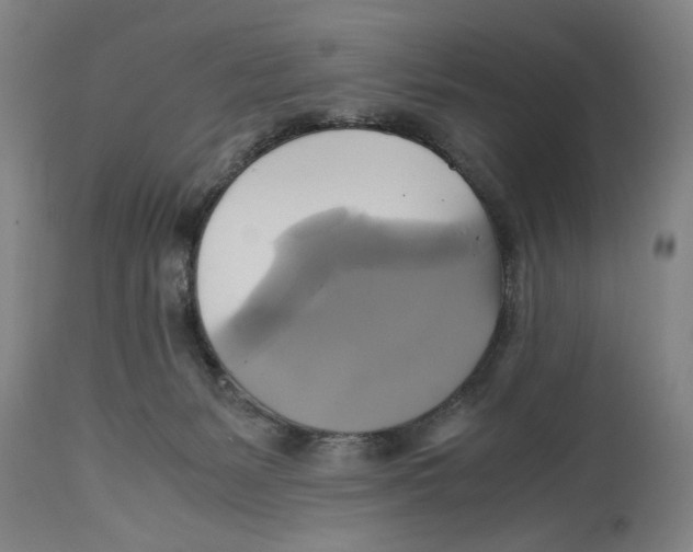 X0000114700127200911181326