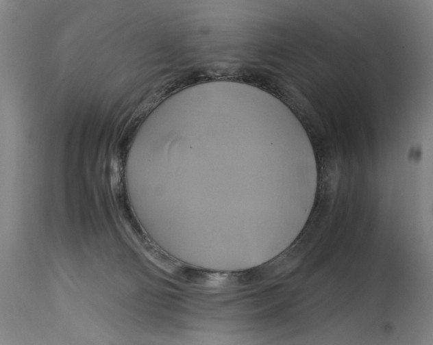 X0000114700130200911181326