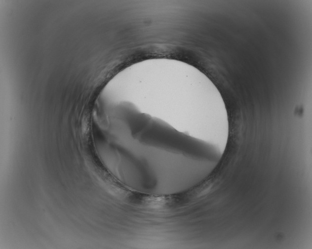 X0000114700131200911181326