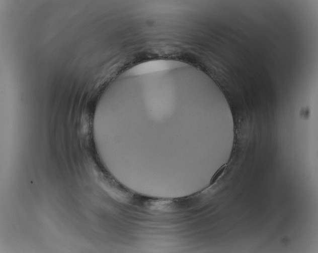 X0000114700132200911181326