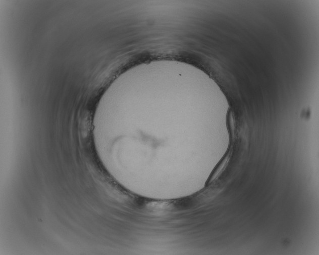 X0000114700133200911181326