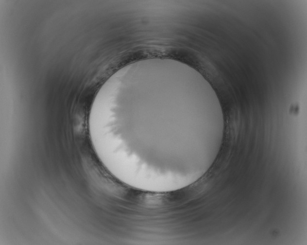 X0000114700134200911181326