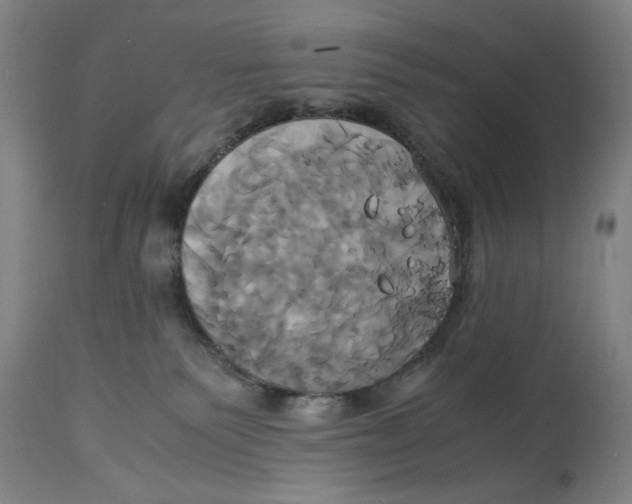 X0000114700135200911181326