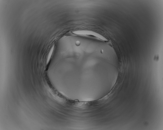 X0000114700136200911181326