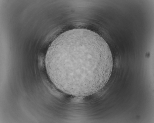 X0000114700138200911181326