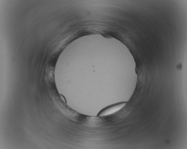 X0000114700141200911181326