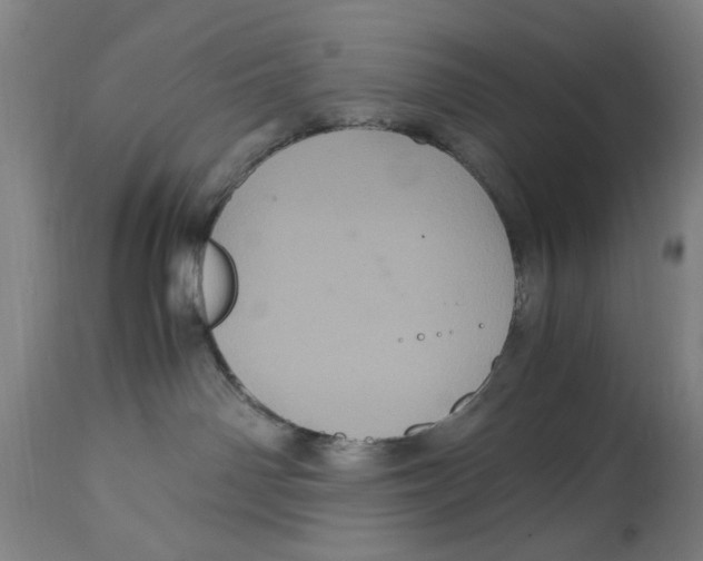 X0000114700142200911181326