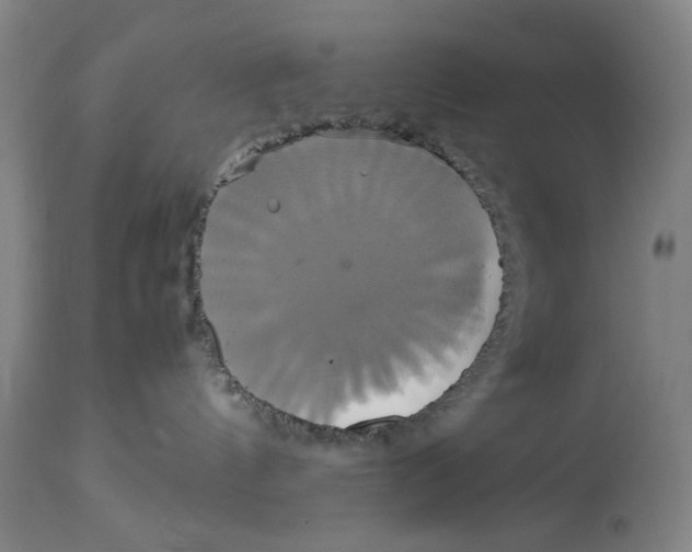 X0000114700144200911181326