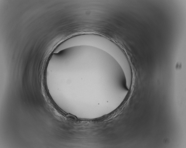 X0000114700145200911181325