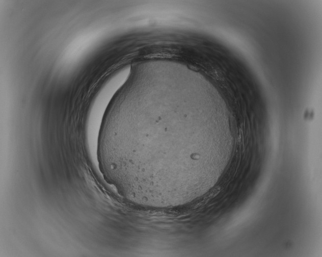 X0000114700146200911181325