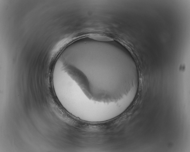 X0000114700149200911181325