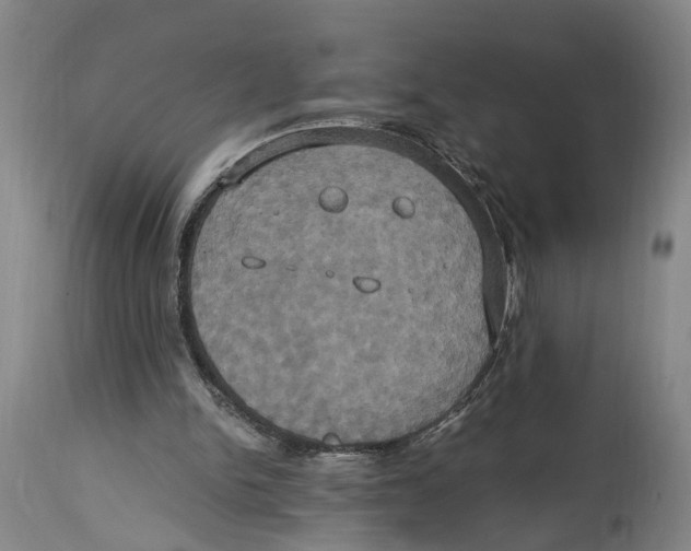 X0000114700150200911181325