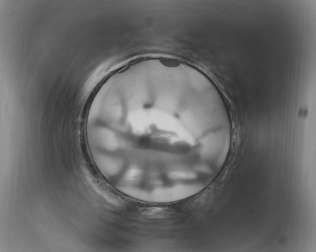 X0000114700151200911181325