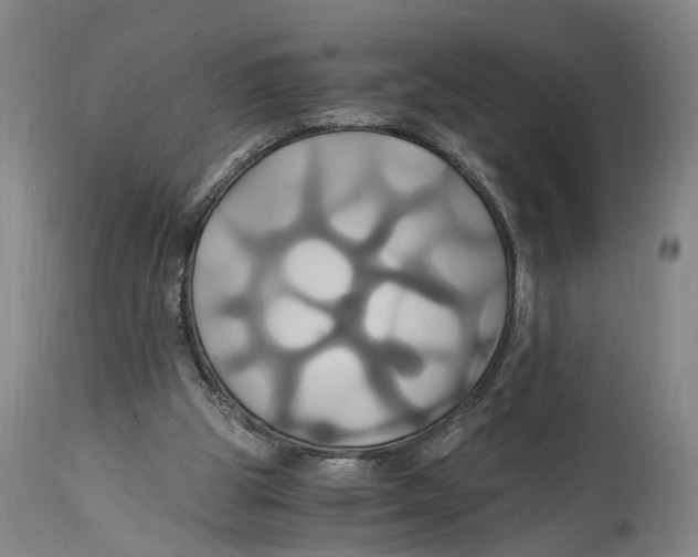 X0000114700153200911181325